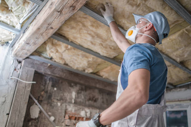 Best Eco-Friendly Insulation in Benton, LA